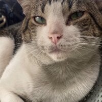 CarlospollaXL webcam