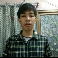 DZ1996 webcam
