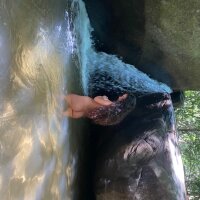 Beamatarazzo's Offline Chat Room