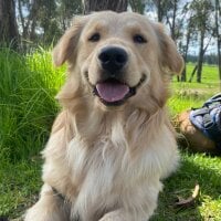 ONI_deFerry's Avatar Pic