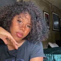 ShallaGreen 离线聊天室