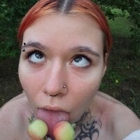 StepSis2006 webcam