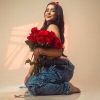 ZoehRoux webcam model