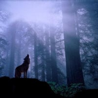 Mehrfach-Abspritzer's Avatar Pic