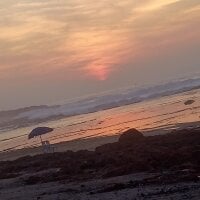 صورة أفاتار jallal30