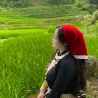 bikhidj 头像图片