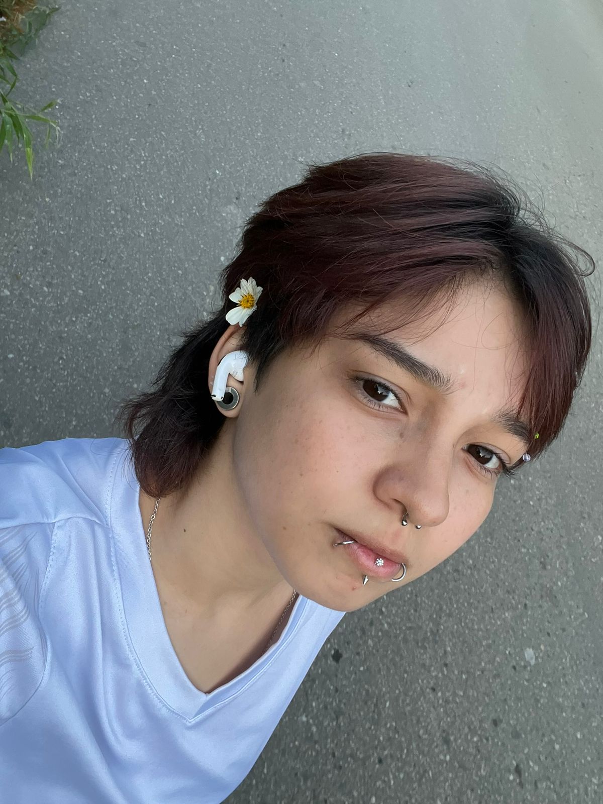 Nicoll896のキャストのプロフィール | Stripchat