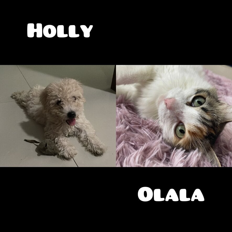 Emiss_ Cam Model Profile | Stripchat