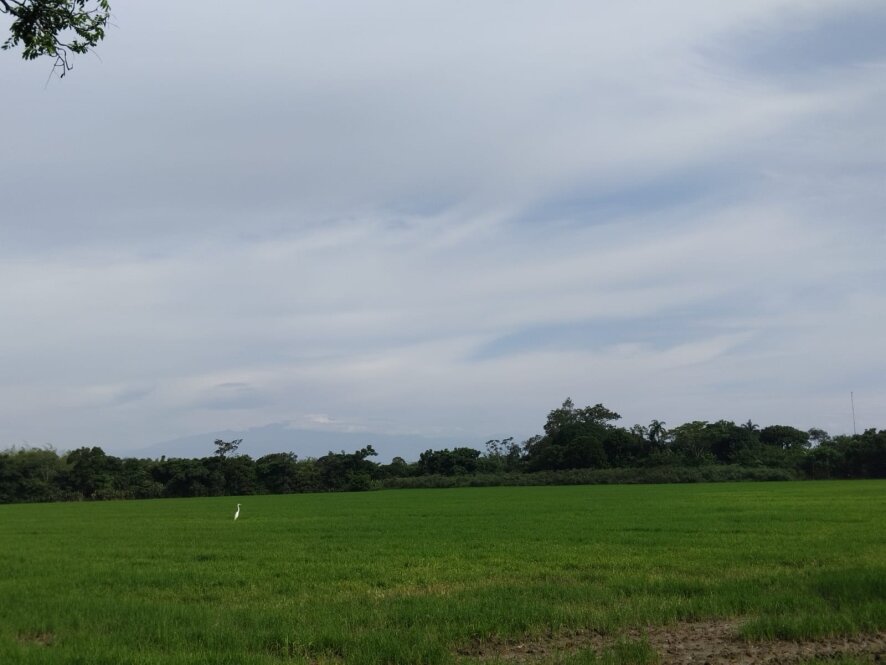 Elle_Lee_のキャストのプロフィール | xHamsterLive