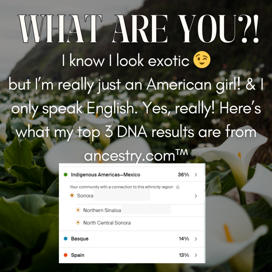 LoveLillyy Webcam Model Profile xHamsterLive