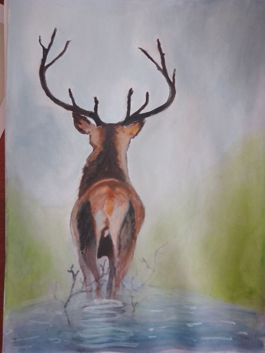 Secret_library Webcam Model Profile xHamsterLive