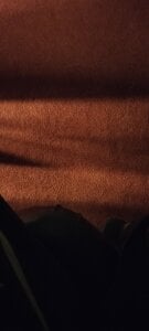 HIIMSINGLEBOY Public Pic 5