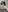sofia_prettiness NEW! introducing my new forms Pic 9