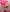 _Bella_Candy_ Brincadeira de leve Photo 5