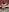 Kattara_Becky_ YOUR BIGASS Pic