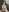 FULL NAKED PHOTOS de SandraCarter  6 fotos