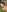 Samantha_official Blasehase aus dem Wald hat das Gesicht voller Sperma 💦 Foto 8