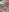 pool party de Stefania-1812  5 Imagens
