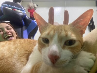 my loves de alisson_zafiro_ Foto