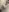 CrazyWomen my CREAMY pussy and ass close up Pic 5