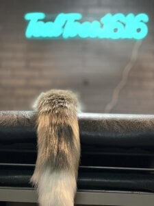 tealtoes16 Playroom Pic 4