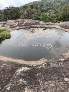 DarkSecrect99 Public Pic 4