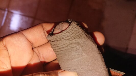 Sure-footedFinder Public Pic