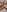 Ragdoll131 🦶 Feet 🦶 Pic 2