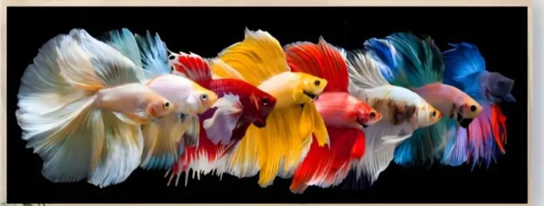 rjeanr4u Public Foto 7