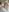 kaydenwithpaulJanuary 2025 Fans Club照片 5