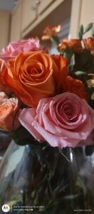 rjeanr4u Public Foto 9