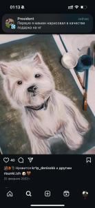 AlexaBright_ my pictures my work 🎨 зображення 5