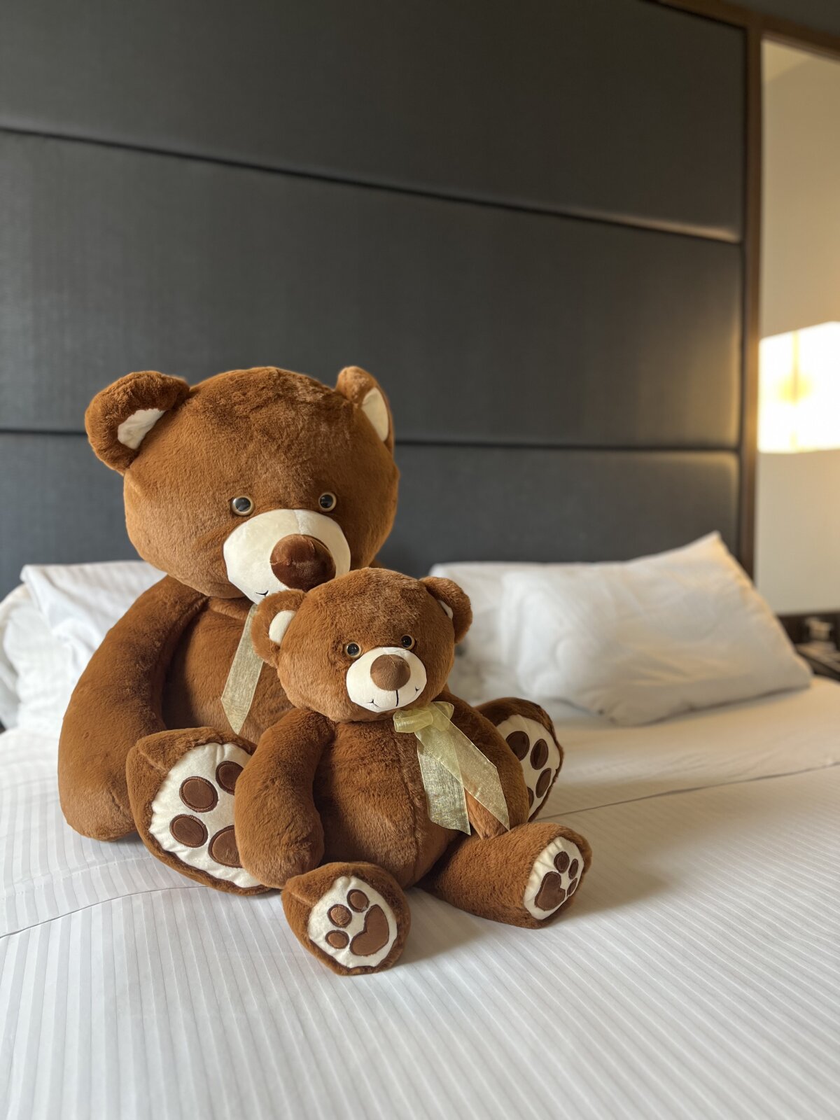 Трендове зображення  4693 Sam_Sara