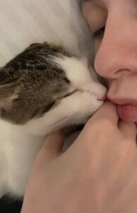 AdeleBabyGirlMy cute cat图片