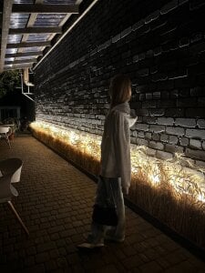 JaneBlaze Public зображення 4