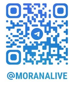 MoranaKit My telegram channel with live content! Pic
