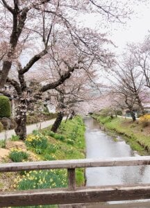 HinaLovelyMy life图片 4