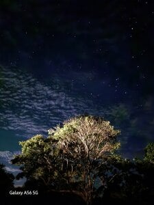 MACKALIX Rr Billede 2