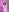 AdelineGoddess naked kitty 사진 4