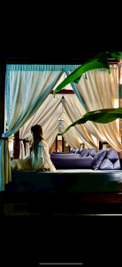 kinu_SARASARA 📷 Pic