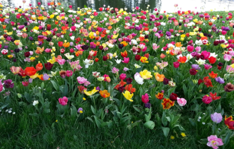 colors of nature de Audrey_Aura  3 photos