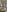 ColibriBlack Bed tease Pic 8