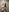 Trophy_x_Wife Topless shower Pic 7