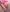 _Bella_Candy_ Brincadeira de leve Photo 8