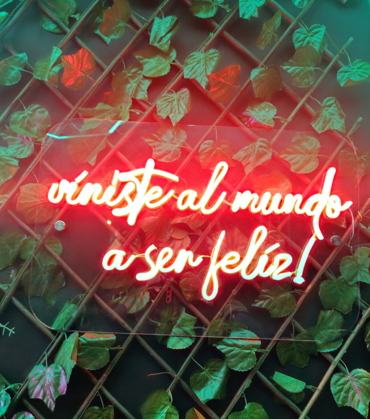 DrakeNeumann Trending Plaatje 3591