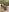 -Sonia Nude at a lake Pic 4