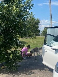 _ni_kiss life as it is зображення 6