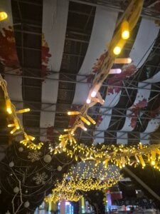 ElfredaTupyIf you want to know how i spend time图片