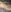 KapiLady_ my delicate and sexy body Photo 5