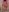 annasimonsj A new batch of stunning and hot photos for my fans 💌 Pic 9